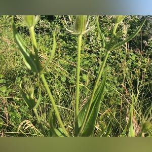 Meet your Posher, Dayna